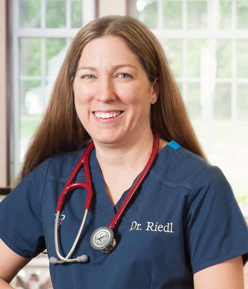 Dr. Allison Riedl, Animal Clinic Northview, Inc in North Ridgeville, OH