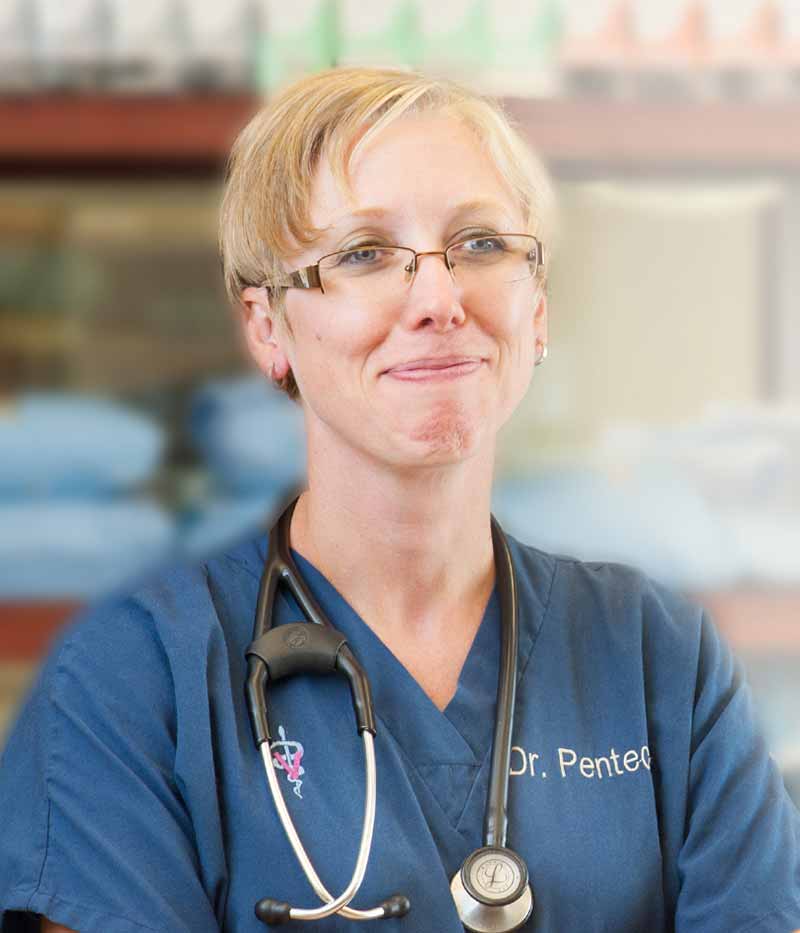 Dr. Becca Pentecost, Animal Clinic Northview, Inc in North Ridgeville, OH