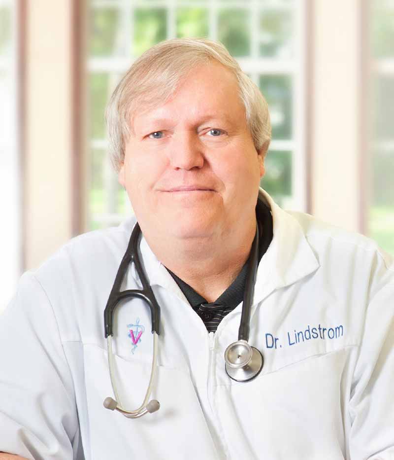 Dr. Jamie Lindstrom, Animal Clinic Northview, Inc in North Ridgeville, OH