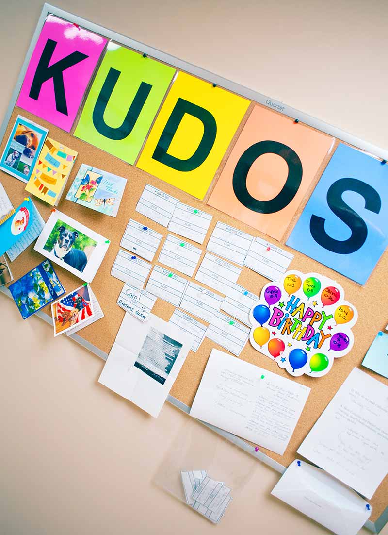 Kudos wall at Animal Clinic Northview, Inc in North Ridgeville, OH