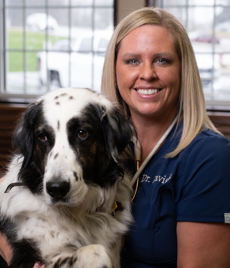 Dr. Nonnenmacher, Animal Clinic Northview, Inc in North Ridgeville, OH