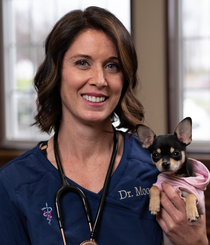 Dr. Nonnenmacher, Animal Clinic Northview, Inc in North Ridgeville, OH