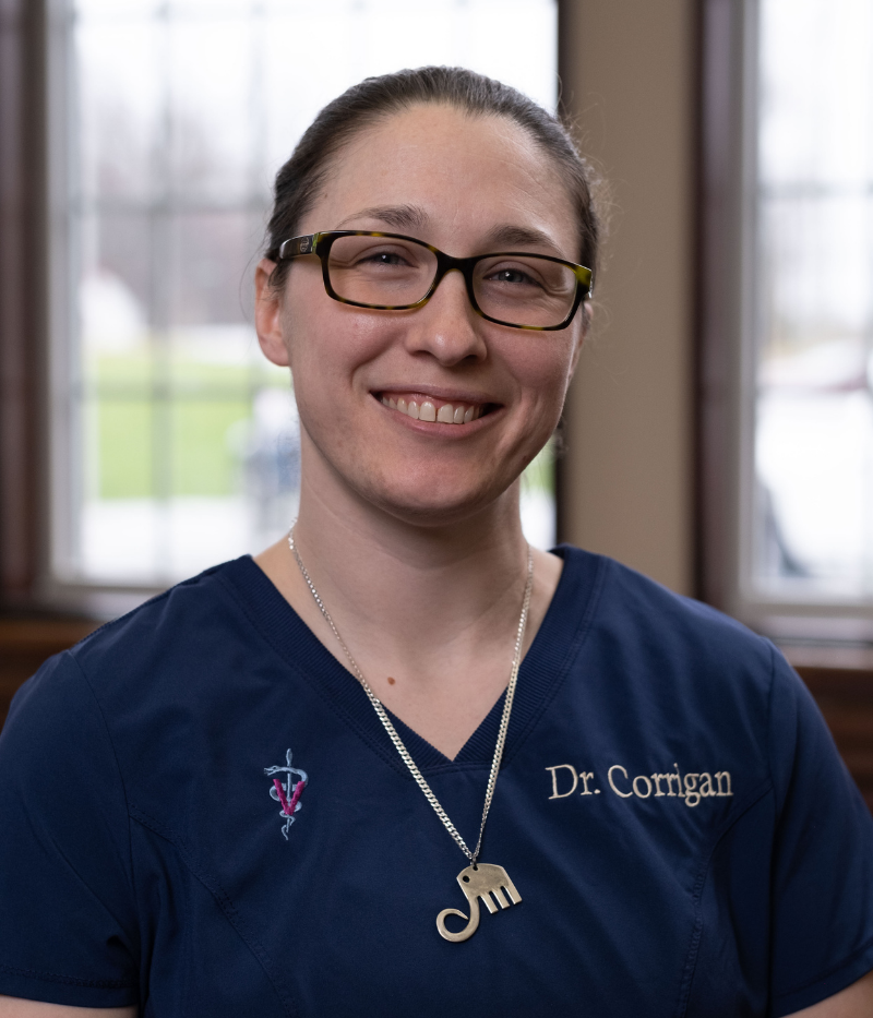 Dr. Nonnenmacher, Animal Clinic Northview, Inc in North Ridgeville, OH