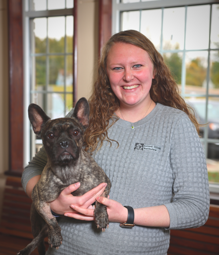 Animal Hospital in North Ridgeville, OH Northview Animal Clinic