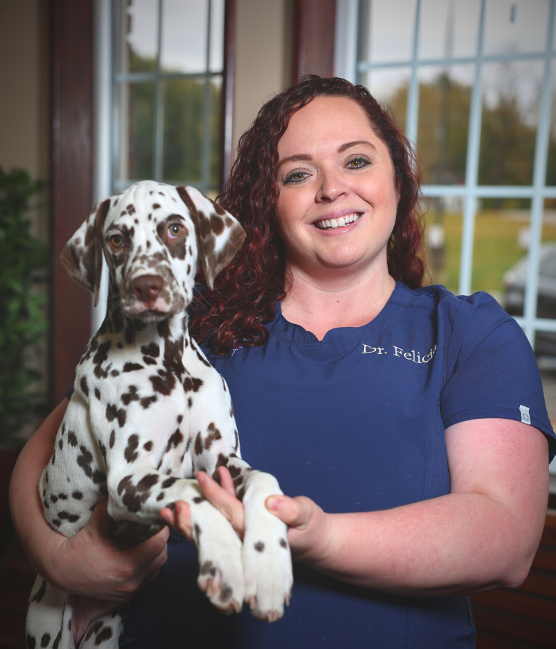 Dr. Felicia Nonnenmacher Vet in North Ridgeville, OH at Animal Clinic Northview