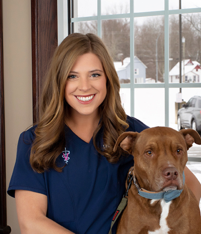 Dr. Grace Schmeiser Vet in North Ridgeville, OH at Animal Clinic Northview