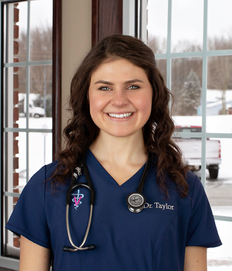 Dr. Grace Schmeiser Vet in North Ridgeville, OH at Animal Clinic Northview