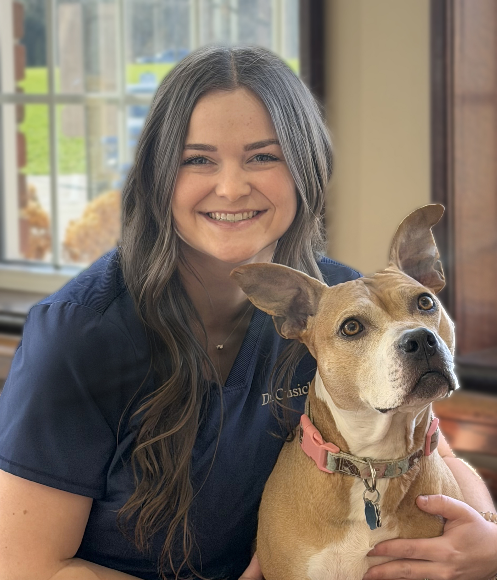 Dr. Grace Schmeiser Vet in North Ridgeville, OH at Animal Clinic Northview